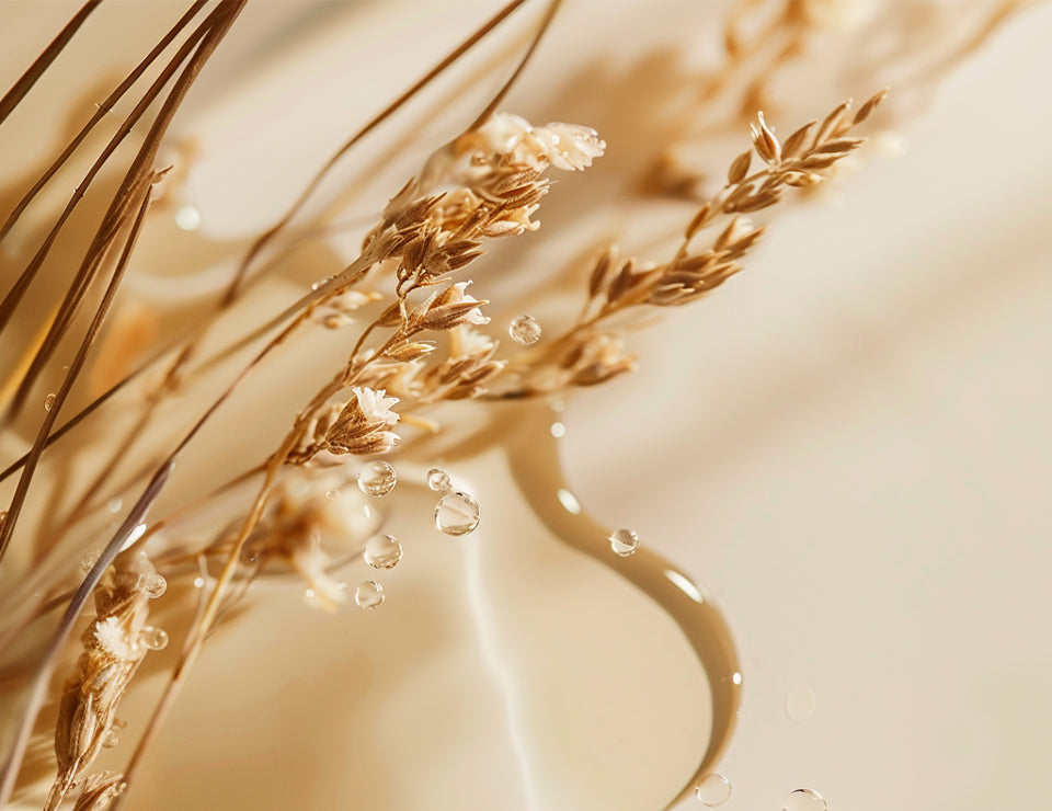 Beta-Glucan in Hautpflege: Ein umfassender Leitfaden