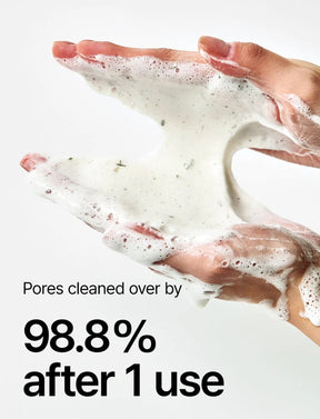 Heartleaf Quercetinol Pore Deep Cleansing Foam