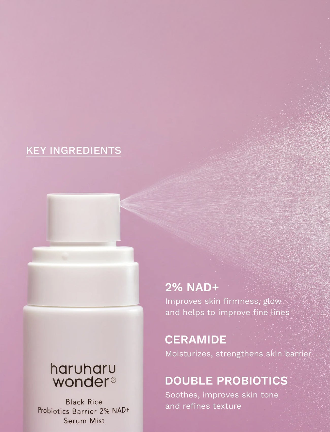 Black Rice Probiotics Barrier 2% NAD+ Serum Mist